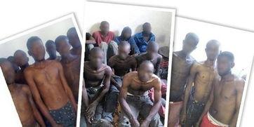 私人奴隶在线观看,私人奴隶在线观看现象深度剖析